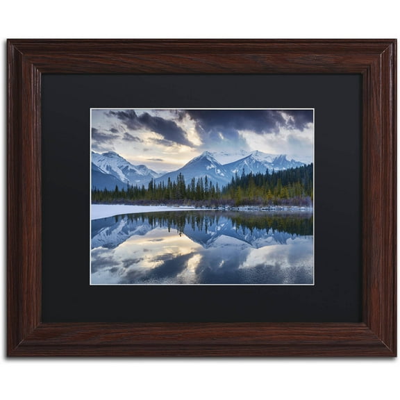 Trademark Fine Art 'Vermillion' Canvas Art by Michael Blanchette Photography, Black Matte, Wood Frame