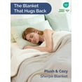 thumbnail image 3 of CGK Linens Solid Plush Bed Blanket with Faux Shearling Reverse, 3 of 7