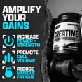 thumbnail image 6 of Nutrex Research Micronized Creatine Monohydrate Powder - 200 Servings (1KG), 6 of 9