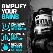 Nutrex Research Micronized Creatine Monohydrate Powder - 200 Servings (1KG)