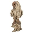 thumbnail image 5 of Hi-Line Gifts 13" Barn Owl Standing on Stump Garden Statue, 5 of 5