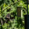 thumbnail image 3 of Birds Choice 2 Arm Complete Pole Package with Squirrel Baffle, Black, 3 of 9