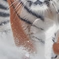 thumbnail image 4 of Animal Running on The Snowfield Shower Curtains with 12 Hooks Waterproof Bathroom Decor 66" x 72", 4 of 6