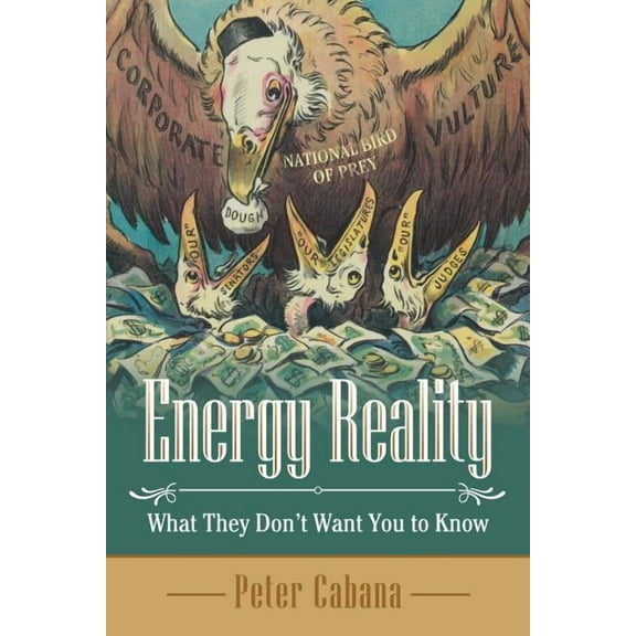 Energy Reality: What They Don'T Want You to Know (Paperback)