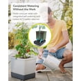 thumbnail image 4 of Plantadora vertical de tomates BUZZY Seeds Tom Tomato con espaldera, 4 of 9