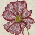 thumbnail image 2 of Greene, Taylor 26x26 White Modern Wood Framed Museum Art Print Titled - PATTEREND RED PETALS II, 2 of 4