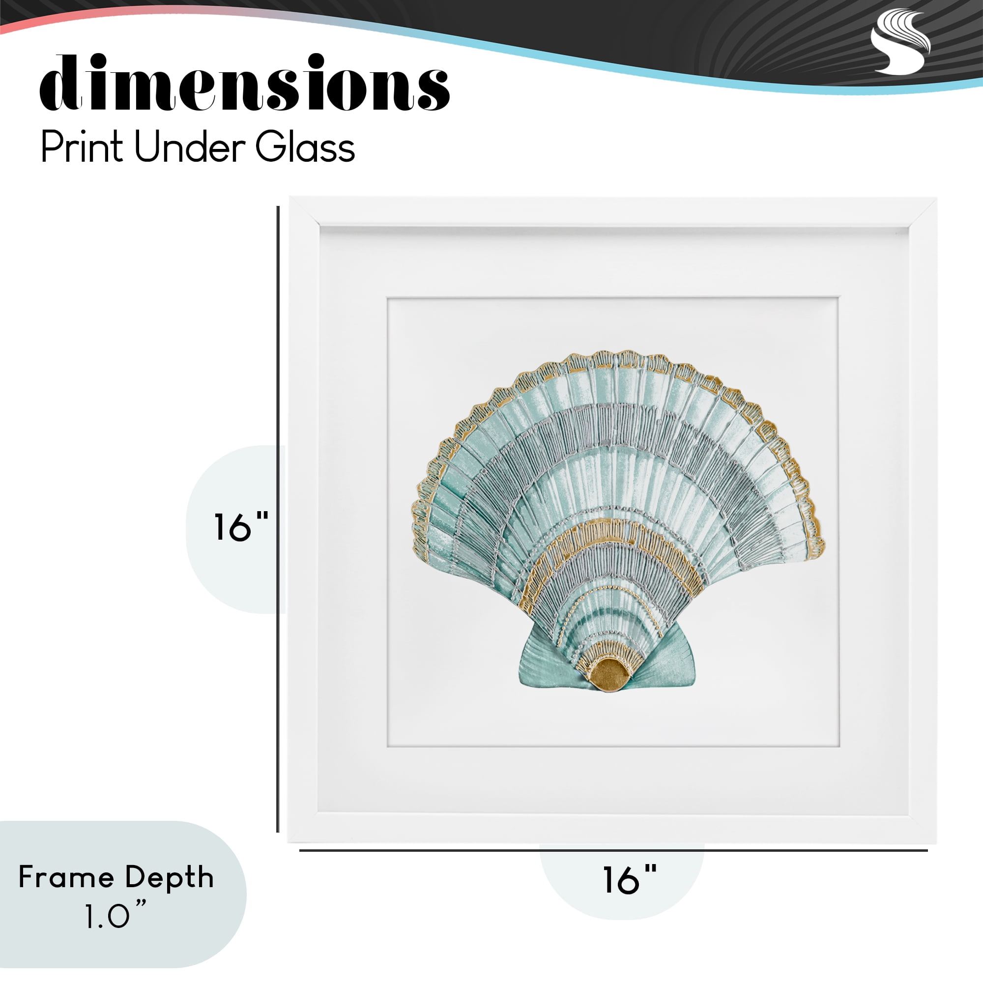 Stupell Industries Regal Shells Scallop White Framed Print Under Glass, design by Lorenzo Collective