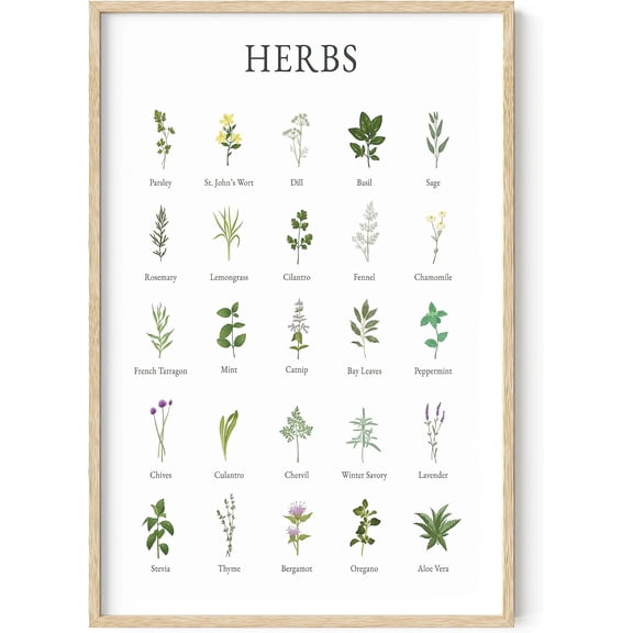 Haus and Hues Herb Pictures for Kitchen Wall Art - Kitchen Herbs Wall Art and Botanical Prints Herbs Art Kitchen Wall Art Herbs and Kitchen Art Cottage Core Decor Herb Collage (Framed Beige, 24x36)