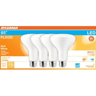 Led flood online light bulbs walmart