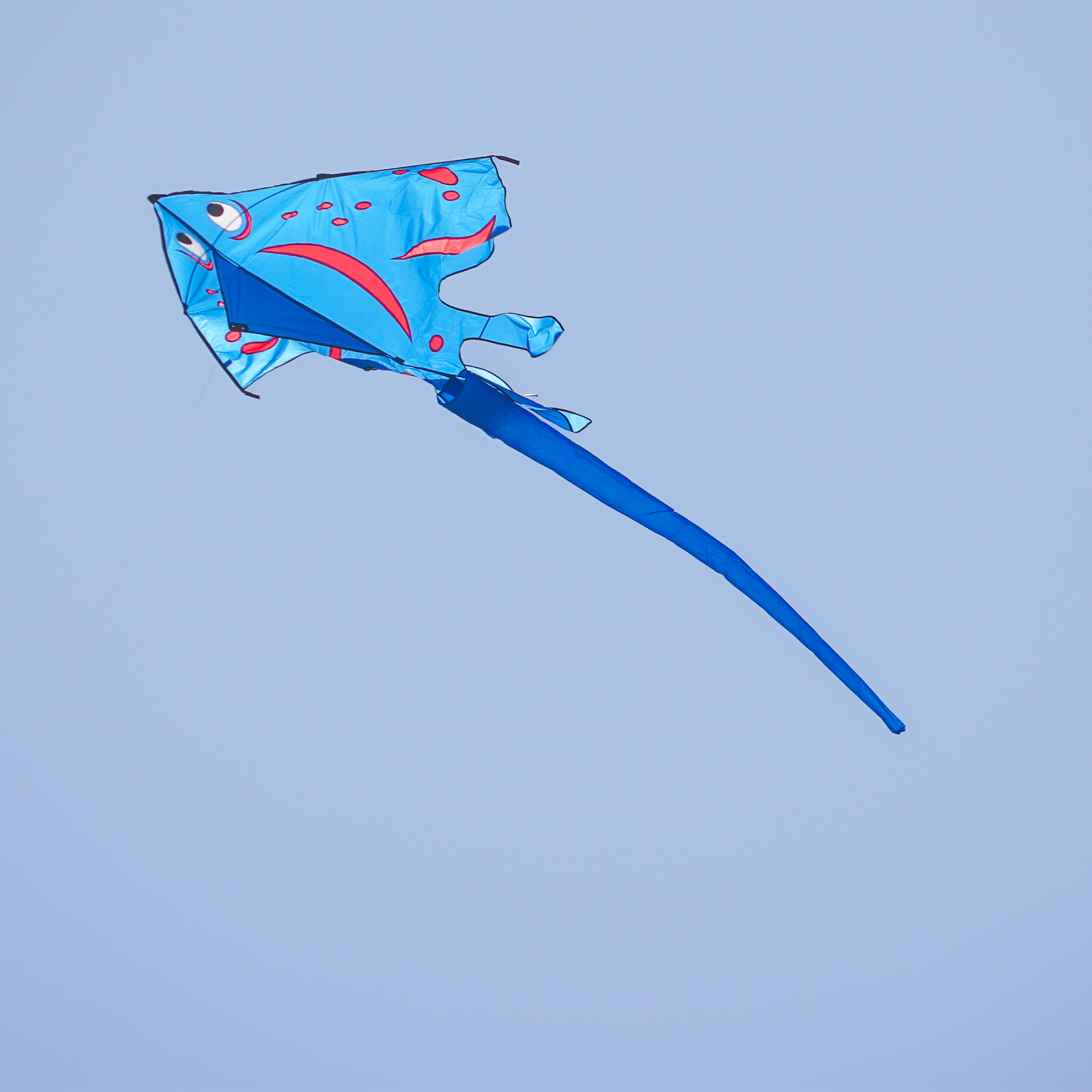 In the Breeze 3220 — Blue Stingray Kite - Large Single Line Kite - Ripstop Fabric - Kite Line and Bag Included