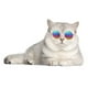 thumbnail image 3 of Gafas de sol para perros y gatos | Montura redonda estilo retro | Tamaño pequeño para muñecos y accesorios de fotos | 12 colores con lentes reflectantes, 3 of 6