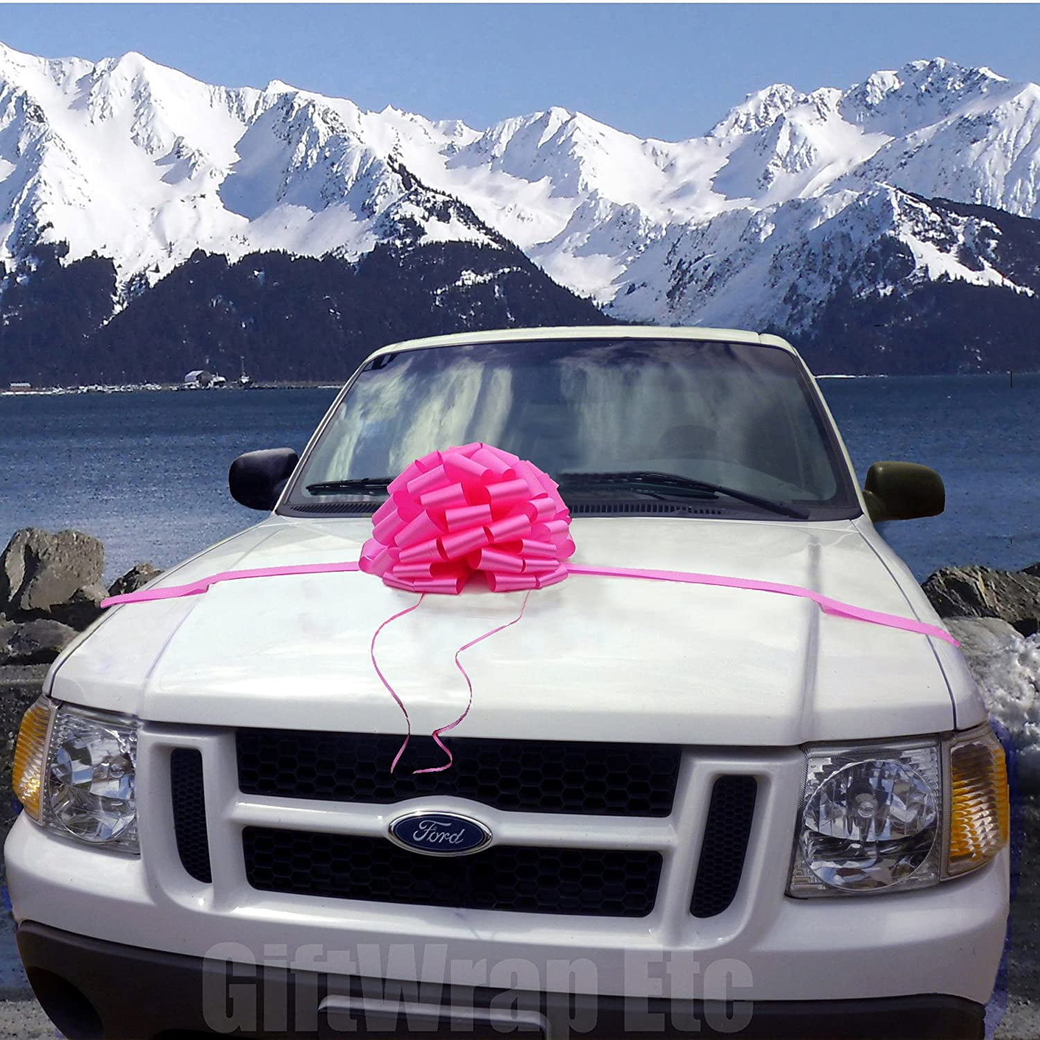 Large Fuchsia Pink Car Bow - 16" Wide, Front Door Decor, Christmas, Easter, Breast Cancer Awareness, Birthday, Baby Shower, Valentine's Day