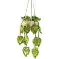 thumbnail image 1 of HAHDAXIA Boho Car Plant Crochet Hanging Basket - Cute Potted Plants Crochet Car Mirror Hanging Accessories - Handmade Knitted Rear View Mirror Accessories - Crochet Hanging Plant for Car (C), 1 of 7