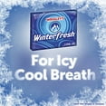 thumbnail image 5 of Winterfresh Gum, 15-Stick Slim Packs (Pack of 20), 5 of 8