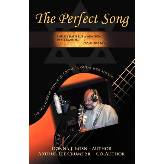 The Perfect Song (Paperback)