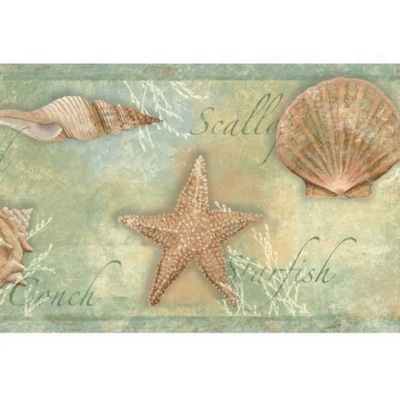 878533 Sea Shells Wallpaper Border CT46052b