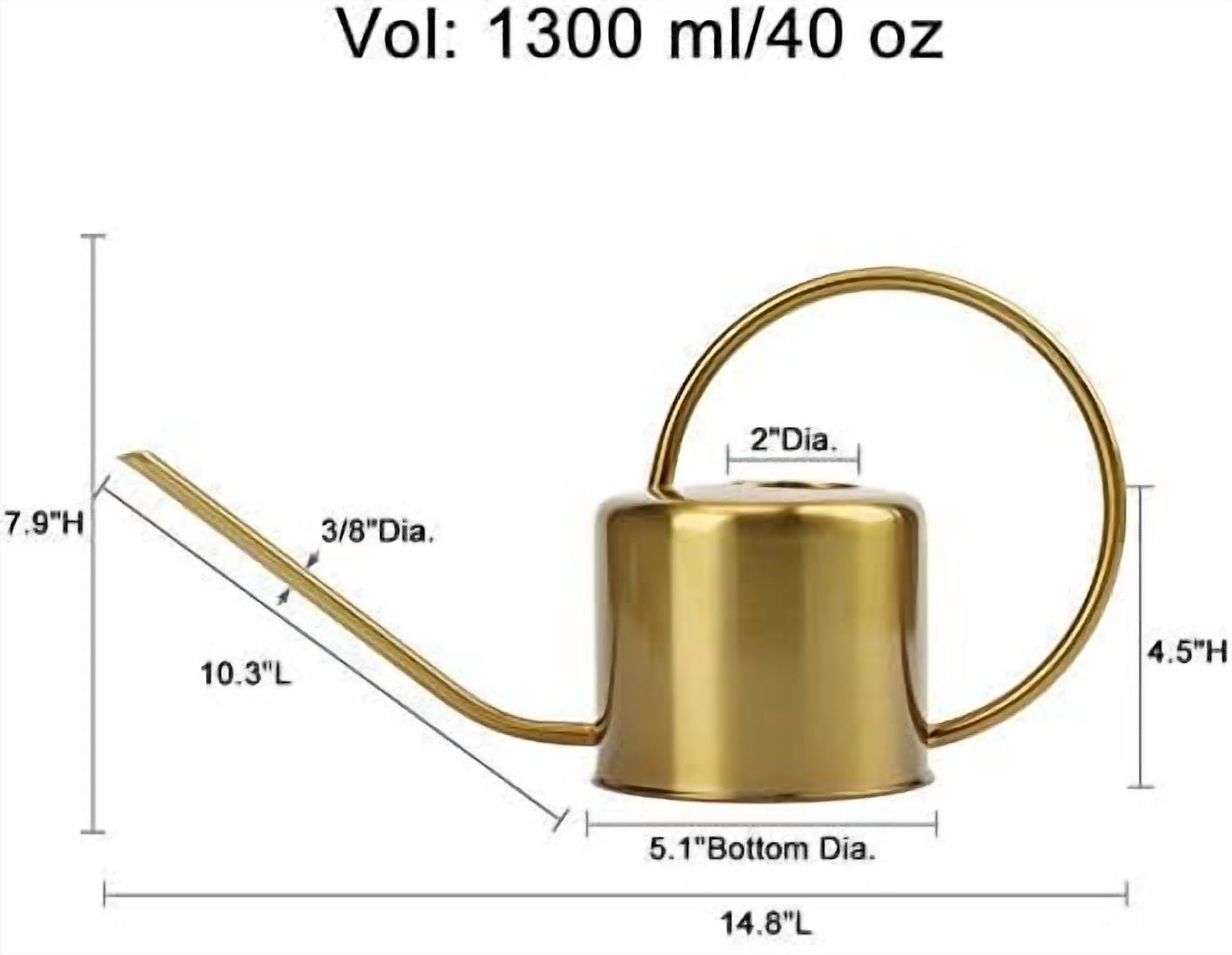Watering Can Indoor Outdoor Stainless Steel Watering Cans for House Plants Long Spout Water Can for Succulent Bonsai Garden Flower(40oz/1300ml) Watering Can