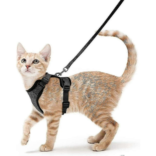 Cat Harness And Leash For Walking, Escape Proof Soft Adjustable Vest Harnesses For Cats, Easy Control Breathable Jacket, Black, Xs