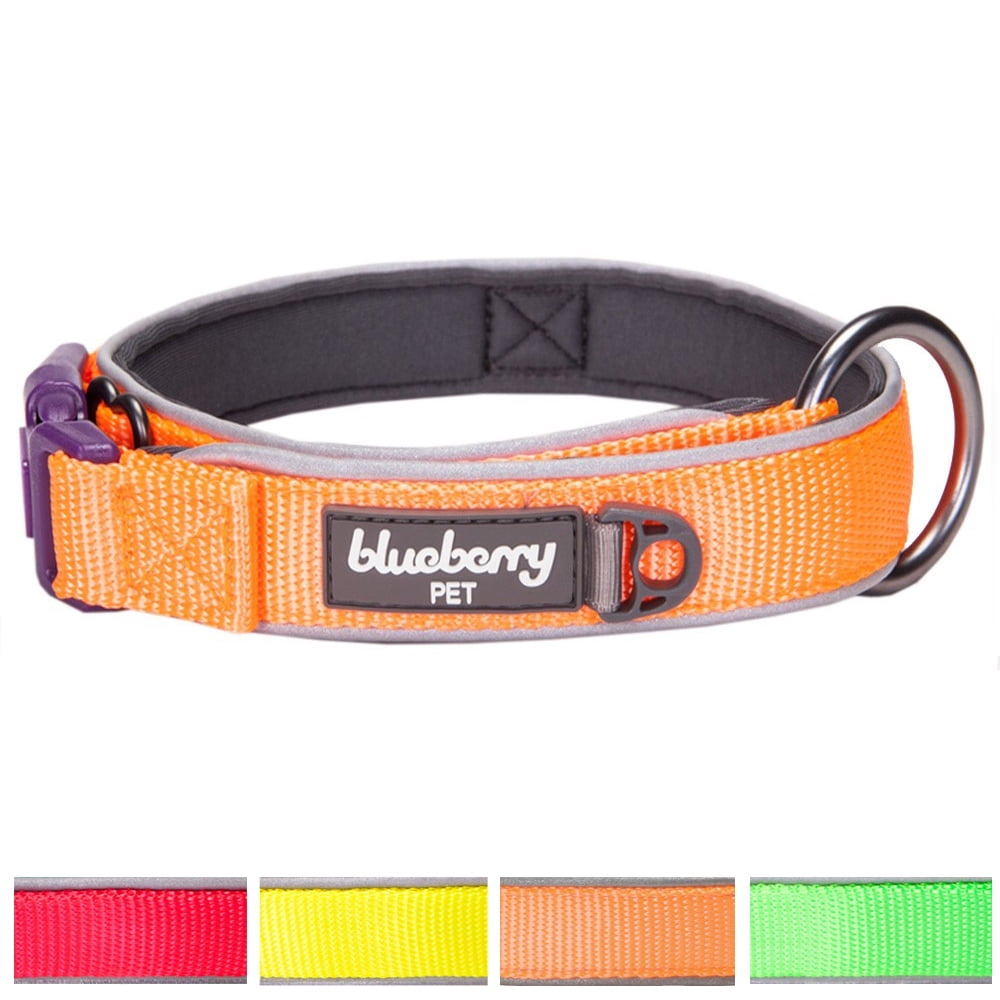 Blueberry Pet Harness Size Chart