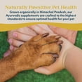 thumbnail image 6 of Ayush Herbs Ashwagandha Chews, Calming Treats for Dogs and Cats, Chicken Flavor, 30 Count, 6 of 8