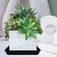 thumbnail image 1 of SWETRACE 6Ud Platos Para Plantas Con Recogedora De Plástica Para Uso Interior Y Exterior, 1 of 8