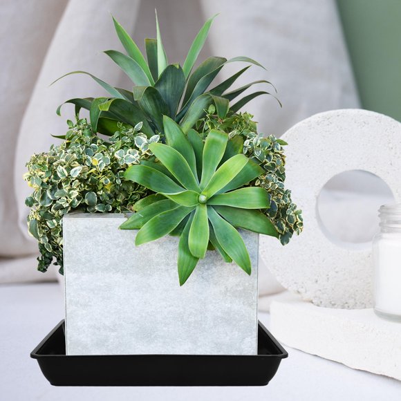 SWETRACE 6Ud Platos Para Plantas Con Recogedora De Plástica Para Uso Interior Y Exterior
