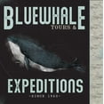 thumbnail image 2 of JMB Designs 15x15 Gold Ornate Wood Framed with Double Matting Museum Art Print Titled - Blue Whale Tours, 2 of 4