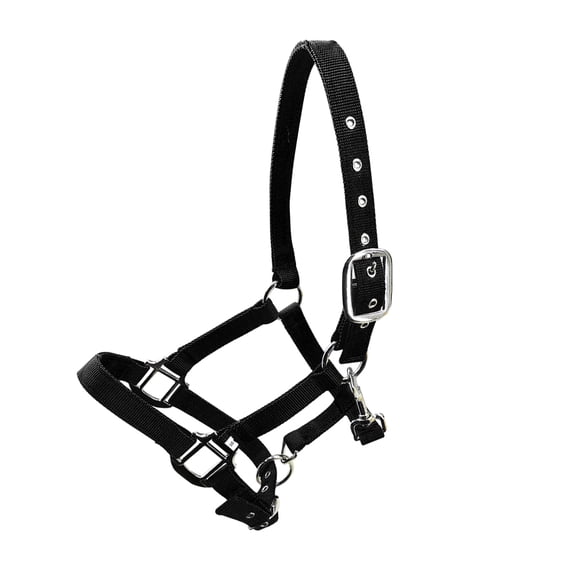 Greeniant Collar de cabeza de brida de Pony con cuello Halter acolchado, equipo de protección de gran resistencia, suministros para caballos, Ropa para mascotas Negro L
