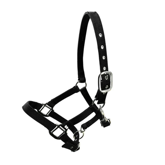 Greeniant Collar de cabeza de brida de poni con cuello Halter acolchado, equipo de protección de aleación de Zinc, fácil de usar, suministros Type2 NO2