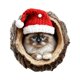 thumbnail image 2 of Colgante Decorativo Adorno navideño plano conmemorativo para mascotas, de acrílico, ideal para decorar el hogar (1 unidad). Rkxzt, 2 of 8