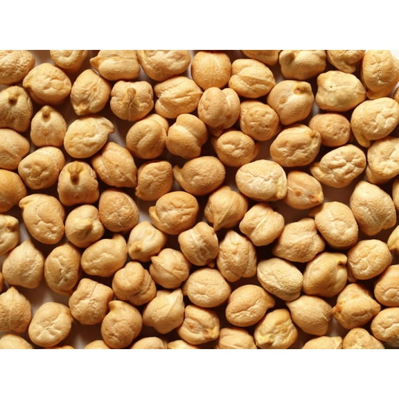 40 Garbanzo Bean Seeds for Planting - Grow Chickpeas