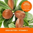 thumbnail image 6 of Palmer's Shea Formula Raw Shea Body Oil for Dry Skin, 8.5 fl oz, 6 of 12