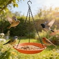thumbnail image 4 of Plastic Outdoor Hanging Hummingbird Feeder for Garden with 8.66 Inch Water Basin and Chain, 4 of 6