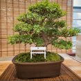 thumbnail image 4 of Miangastore 2pcs Miniature Bench: Mini Park Street Seat Model for Dollhouse Decor - Simulation Mini Bench for Fairy Garden Micro Landscape Decoration, 4 of 9