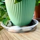thumbnail image 3 of Paquete de 8 Platillos Transparentes para Plantas, Platillos de Plástico para Plantas de 8 Pulgadas, Bandeja para Plantas Más Gruesa, Maceta para Jardín Interior y Exterior, 3 of 5
