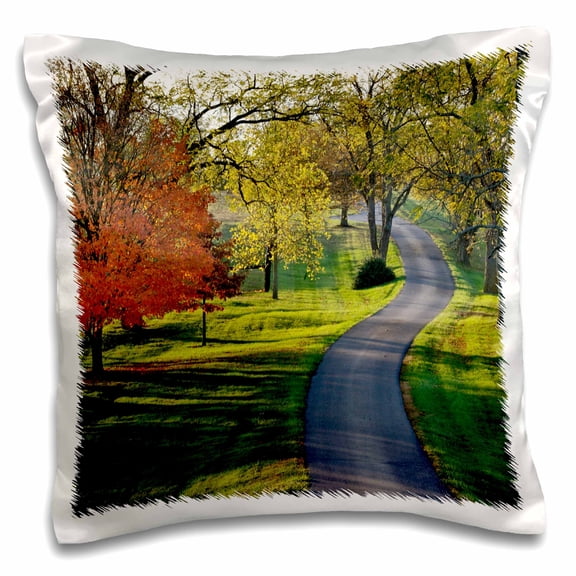3drose, Autumn Road, Bluegrass Region, Lexington, Kentucky - Us18 Aje0393 - Adam Jones, 16x16 inch Pillow Case