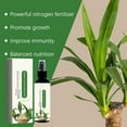 thumbnail image 5 of Brazilian Wood  Fertilizer, Lucky Bamboo Liquid Fertilizer, 2-Pack (100ml Each), 5 of 6