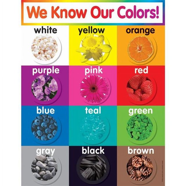 Scholastic Teaching Resources TF-2503BN 6 Each Colors Chart - Grade PK-5
