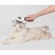 thumbnail image 5 of Cepillo para perros y gatos, cepillo para quitar el pelo suelto con botón de expulsión de autolimpieza, cepillo para el cuidado de gatos, cepillo de masaje para mascotas, herramienta para, 5 of 7