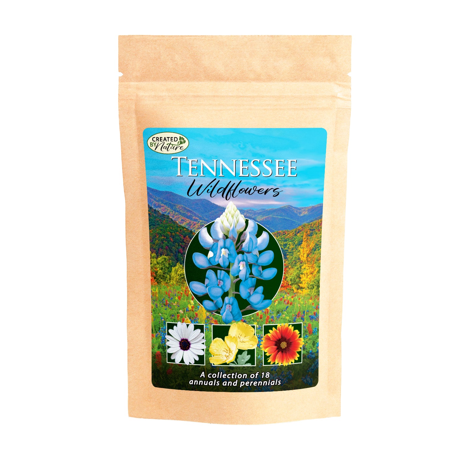 Tennessee Wildflower Bulk Seed Mix Over 35,000 Premium Seeds 18