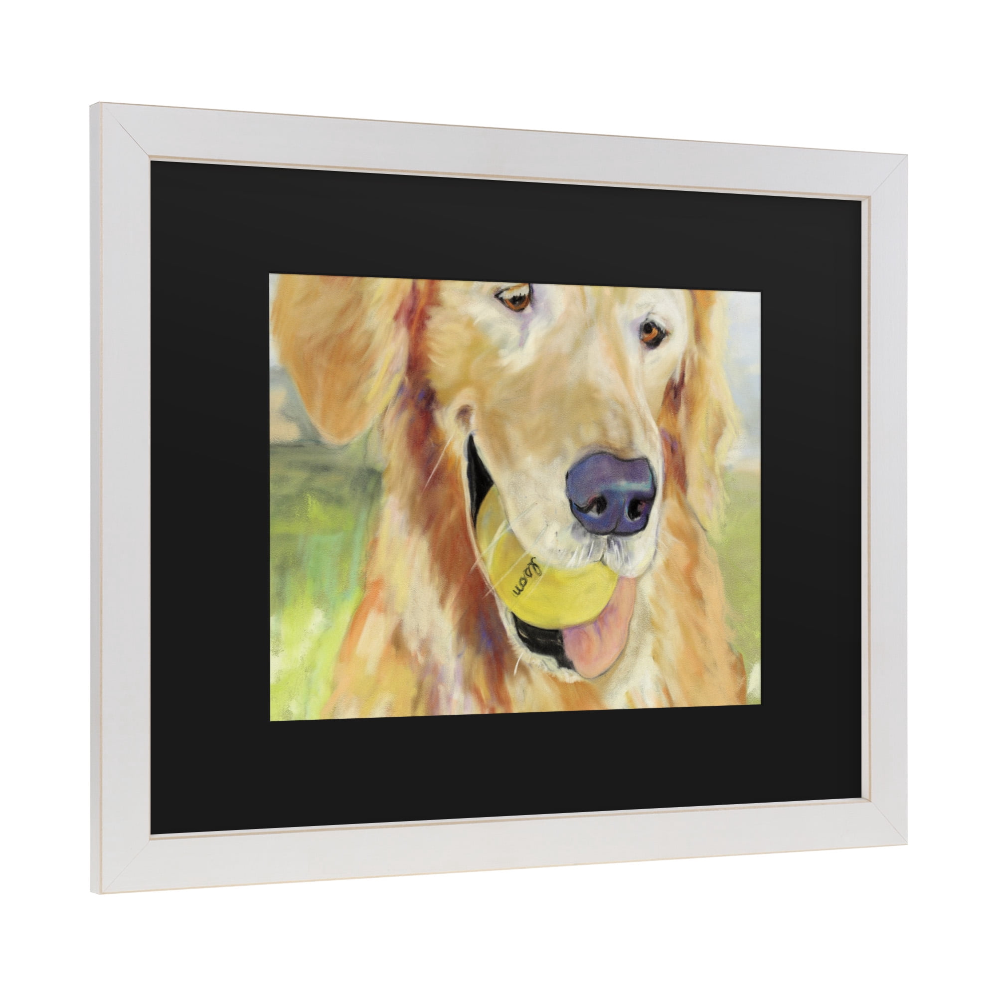 Trademark Fine Art 'Gus' Canvas Art by Pat Saunders-White