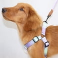 thumbnail image 2 of Pet Training Harness & Leash Set Walking Pet Chest Harness Training Rope FastRelease Harness EasyControl Harness Rope, 2 of 8