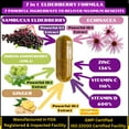 thumbnail image 3 of Elderberry Capsules with Zinc, Vitamin C, Vitamin D, Echinacea, Ginger, Amla, Vegan, Non-GMO, 90 Count, 3 of 7