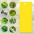 thumbnail image 4 of Trampas Adhesivas De Doble Cara Para Insectos Voladores, Mosquitos, Hongos, Plantas, 20 Piezas, 20x10cm, Se Pueden Cortar Trampas Para Insectos Voladores De Doble Cara, 4 of 7