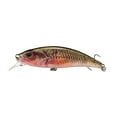 thumbnail image 1 of Jerkbait 3D Auto-Nageant Corps Dur Réutilisable Pêche avec Action Réaliste pour Plusieurs Espèces d'Eau Douce et d'Eau Salée, 1 of 4