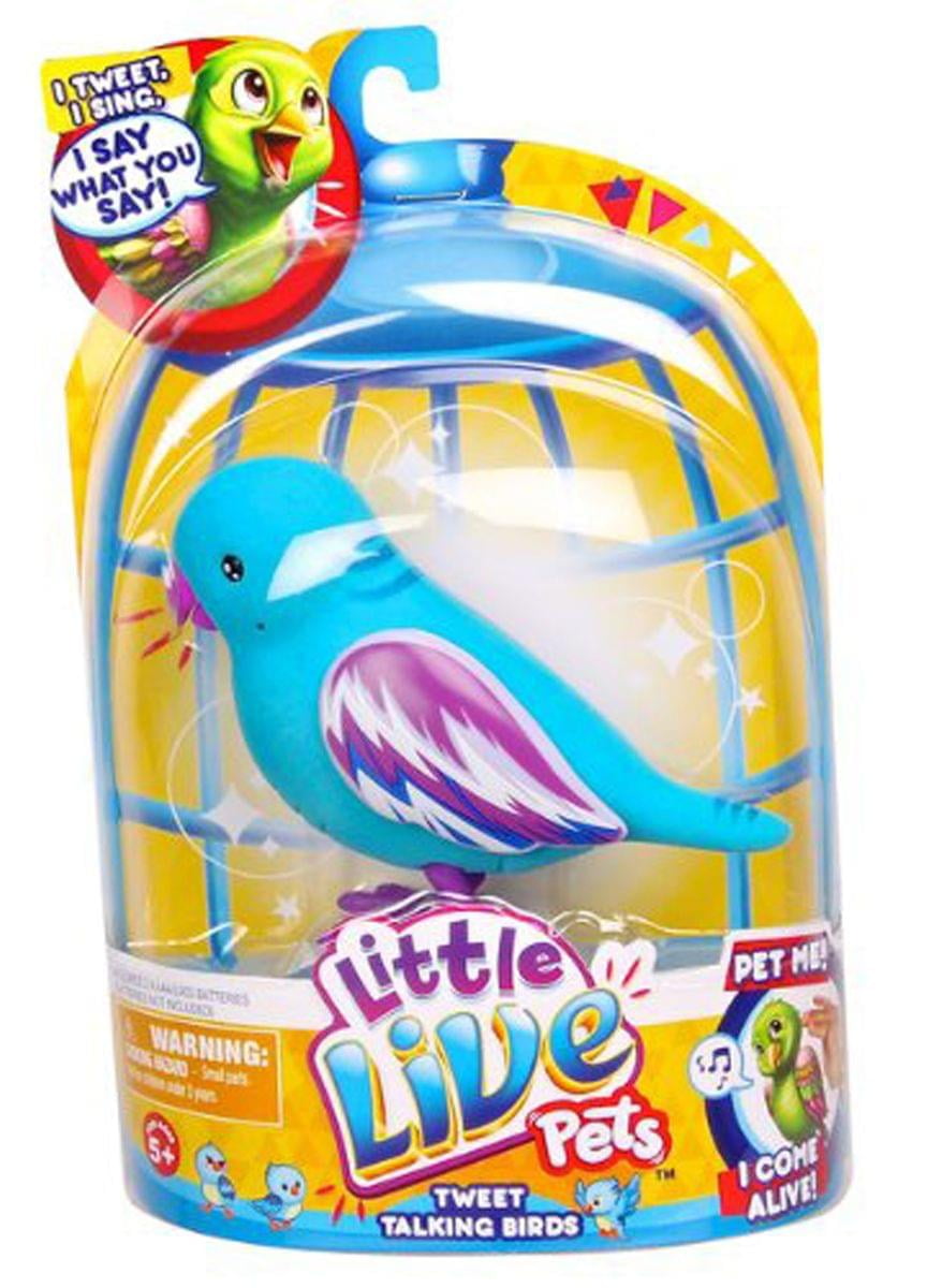 Little Live Pets Bird Single Refill Pack, Cool Cookie - Walmart.com