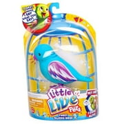 Little Live Pets Bird Single Refill Pack, Cool Cookie