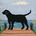 thumbnail image 2 of The Pillow Shoppe Lab On Dock Hook Multicolor Decorative Pillow, 18"X18", 2 of 7