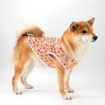 thumbnail image 3 of Zhuge Chaleco para perros y gatos, chaleco transpirable para mascotas, sudadera para cachorros, ropa para perros, prendas de vestir, abrigos para perros pequeños, medianos y gatos, 2XL, A82, 3 of 4