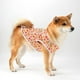 thumbnail image 3 of Zhuge Chaleco para perros y gatos, chaleco transpirable para mascotas, sudadera para cachorros, ropa para perros, prendas de vestir, abrigos para perros pequeños, medianos y gatos, XL, A82, 3 of 4